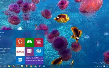 Tropical Fish Theme Desktop