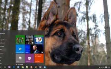 German Shepherd Theme Desktop