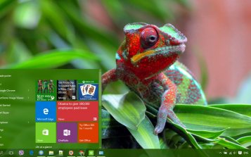 Chameleon Theme Desktop