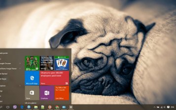 Pug Theme Desktop