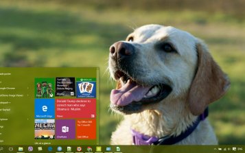 Labrador Retriever Theme Desktop