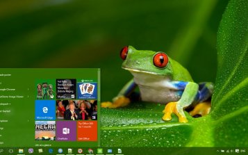 Tree Frog Theme Desktop