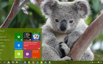 Koala Theme Desktop
