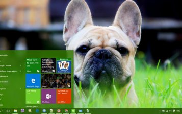 Bulldog Theme Desktop