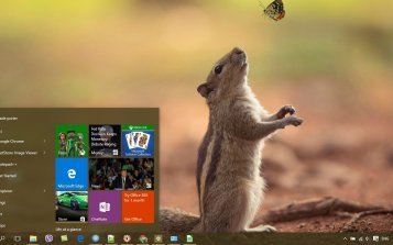 Chipmunk Theme Desktop