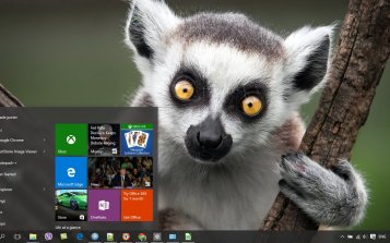 Lemur Theme Desktop