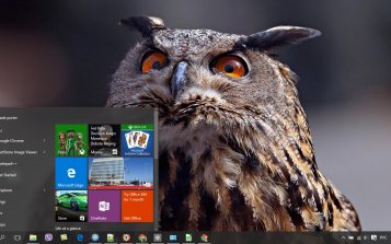Great Horned Owl Theme Desktop