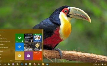 Toucan Theme Desktop