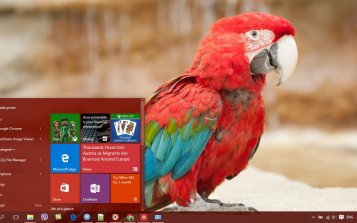 Red And Green Macaw Theme Desktop