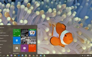 Clownfish Theme Desktop
