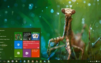 Praying Mantis Theme Desktop