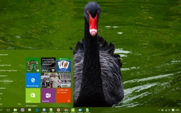 Black Swan Theme Desktop