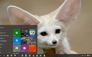 Fennec Fox Theme Desktop