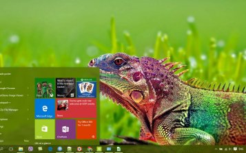 Reptile Theme Desktop