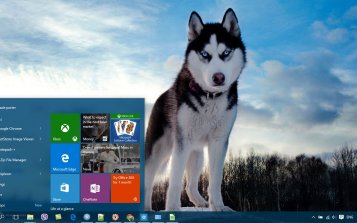 Siberian Husky Theme Desktop