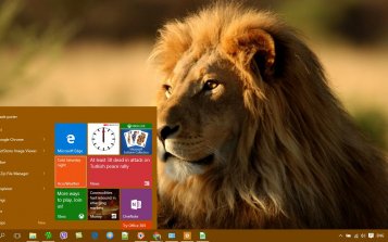 Lion Theme Desktop