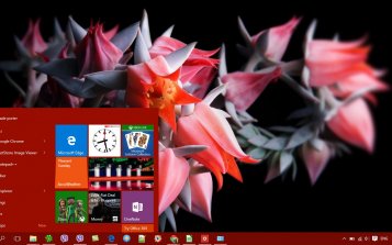 Flowers Theme Desktop