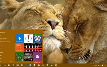 Animal Theme Desktop