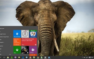 Elephant Theme Desktop