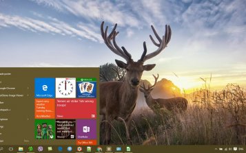 Deer Theme Desktop