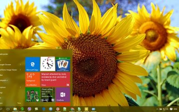 Sunflower Theme Desktop