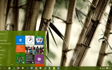 Bamboo Theme Desktop