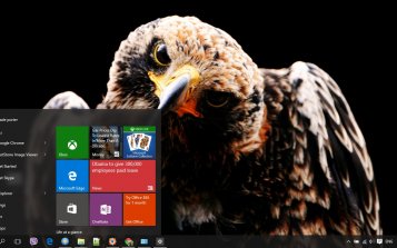 Hawk Theme Desktop