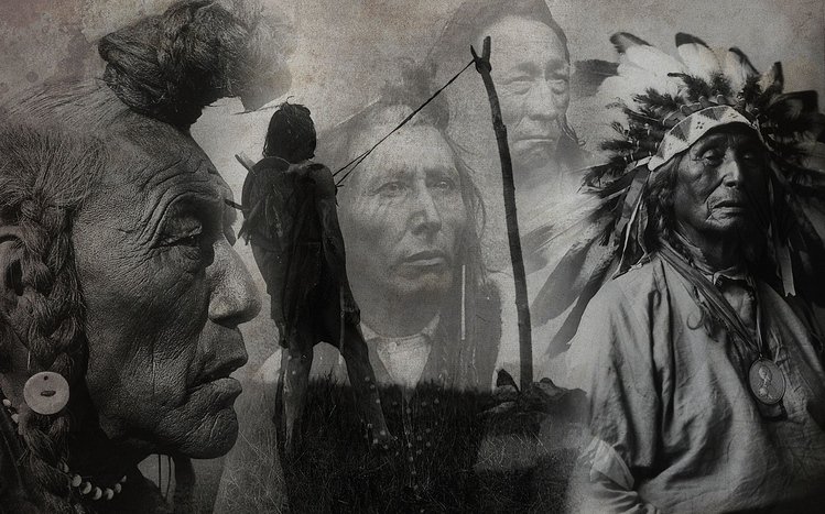 Native American Theme screenshot #1
