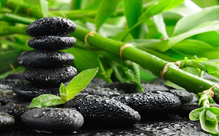 Zen Theme screenshot #19