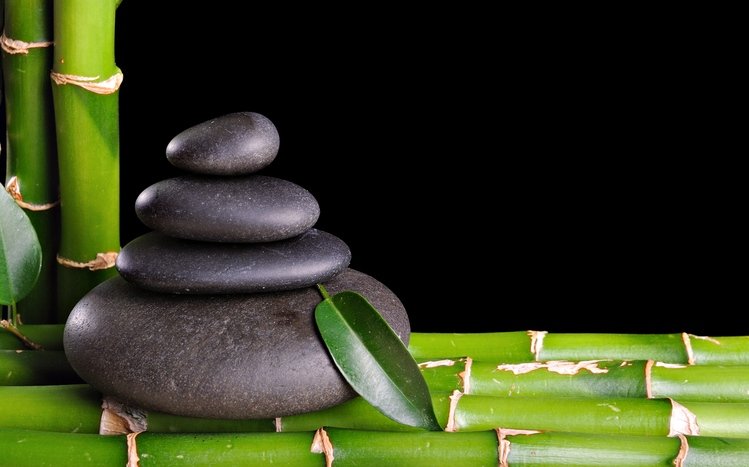 Zen Theme screenshot #20