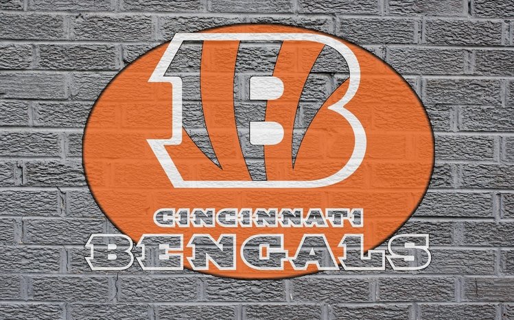 Cincinnati Bengals Theme screenshot #13