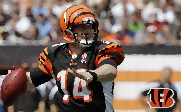 Cincinnati Bengals Theme screenshot #15