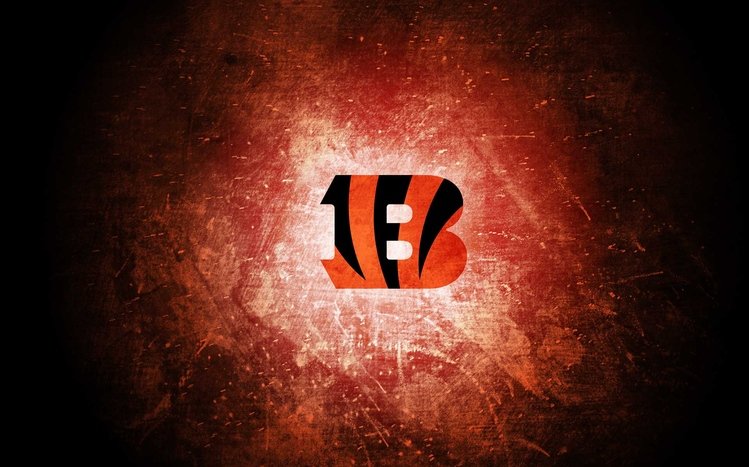 Cincinnati Bengals Theme screenshot #9