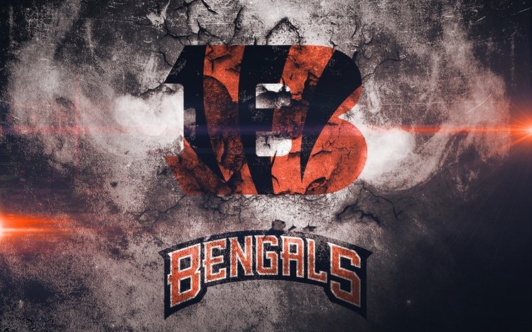 Cincinnati Bengals Theme screenshot #10