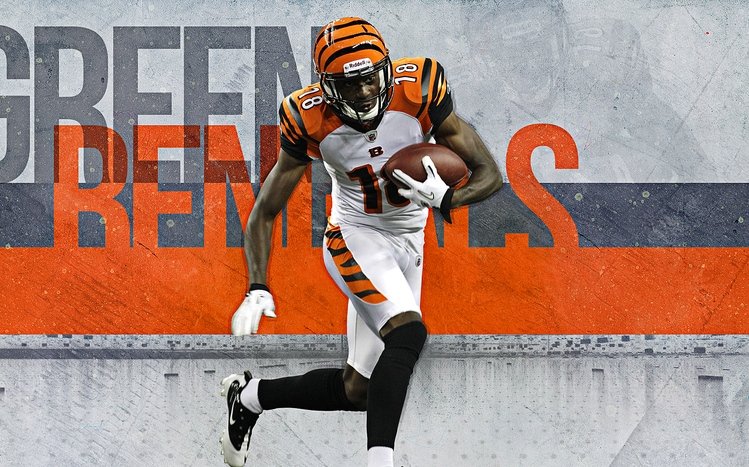 Cincinnati Bengals Theme screenshot #6