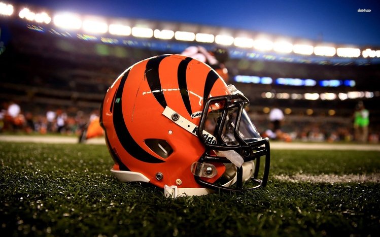 Cincinnati Bengals Theme screenshot #2