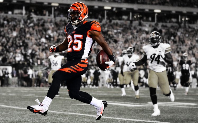 Cincinnati Bengals Theme screenshot #8