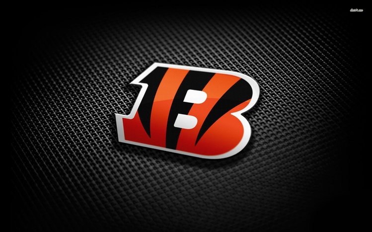 Cincinnati Bengals Theme screenshot #1