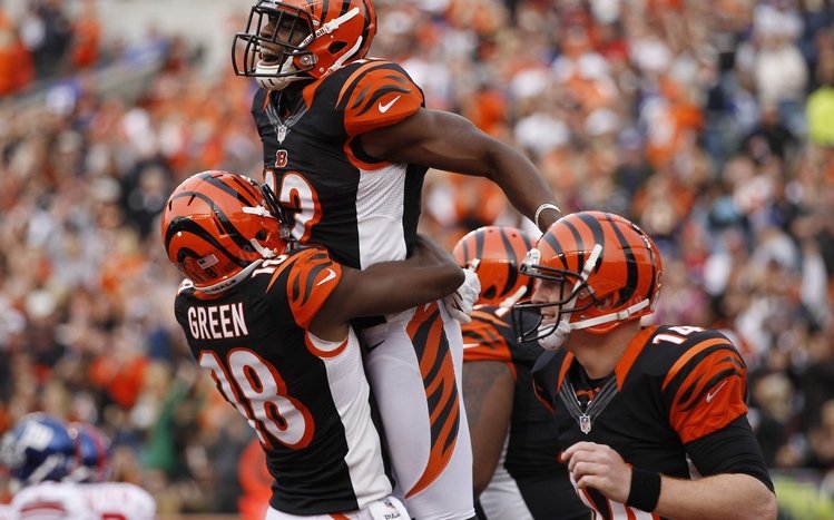 Cincinnati Bengals Theme screenshot #11