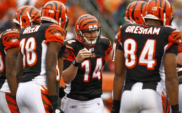 Cincinnati Bengals Theme screenshot #12