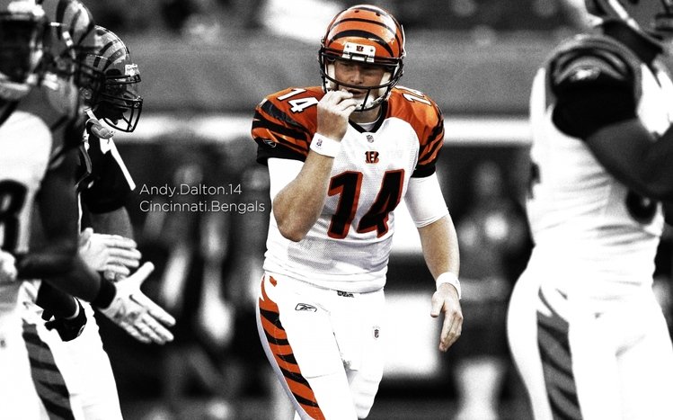 Cincinnati Bengals Theme screenshot #16