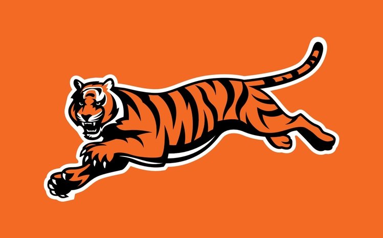 Cincinnati Bengals Theme screenshot #4