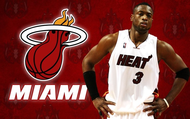 Dwyane Wade Theme screenshot #13
