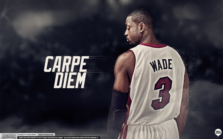 Dwyane Wade Theme screenshot #8