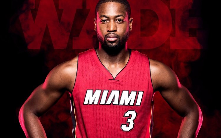 Dwyane Wade Theme screenshot #6