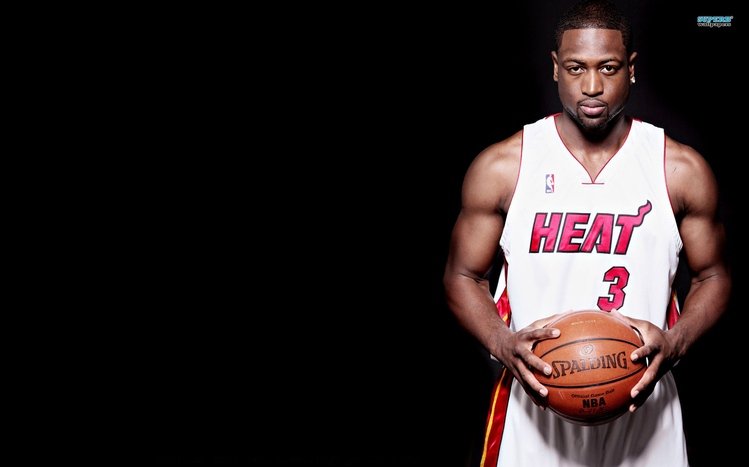 Dwyane Wade Theme screenshot #10