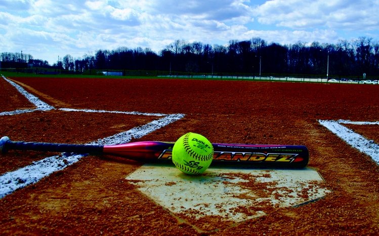 Softball Theme screenshot #5