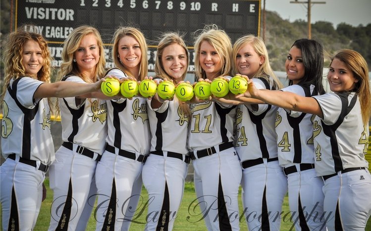 Softball Theme screenshot #6