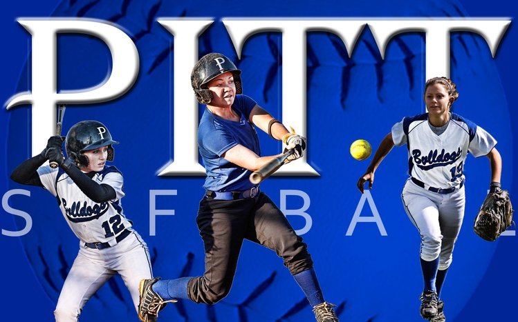 Softball Theme screenshot #3