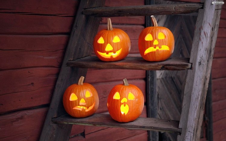 Pumpkin Theme screenshot #19